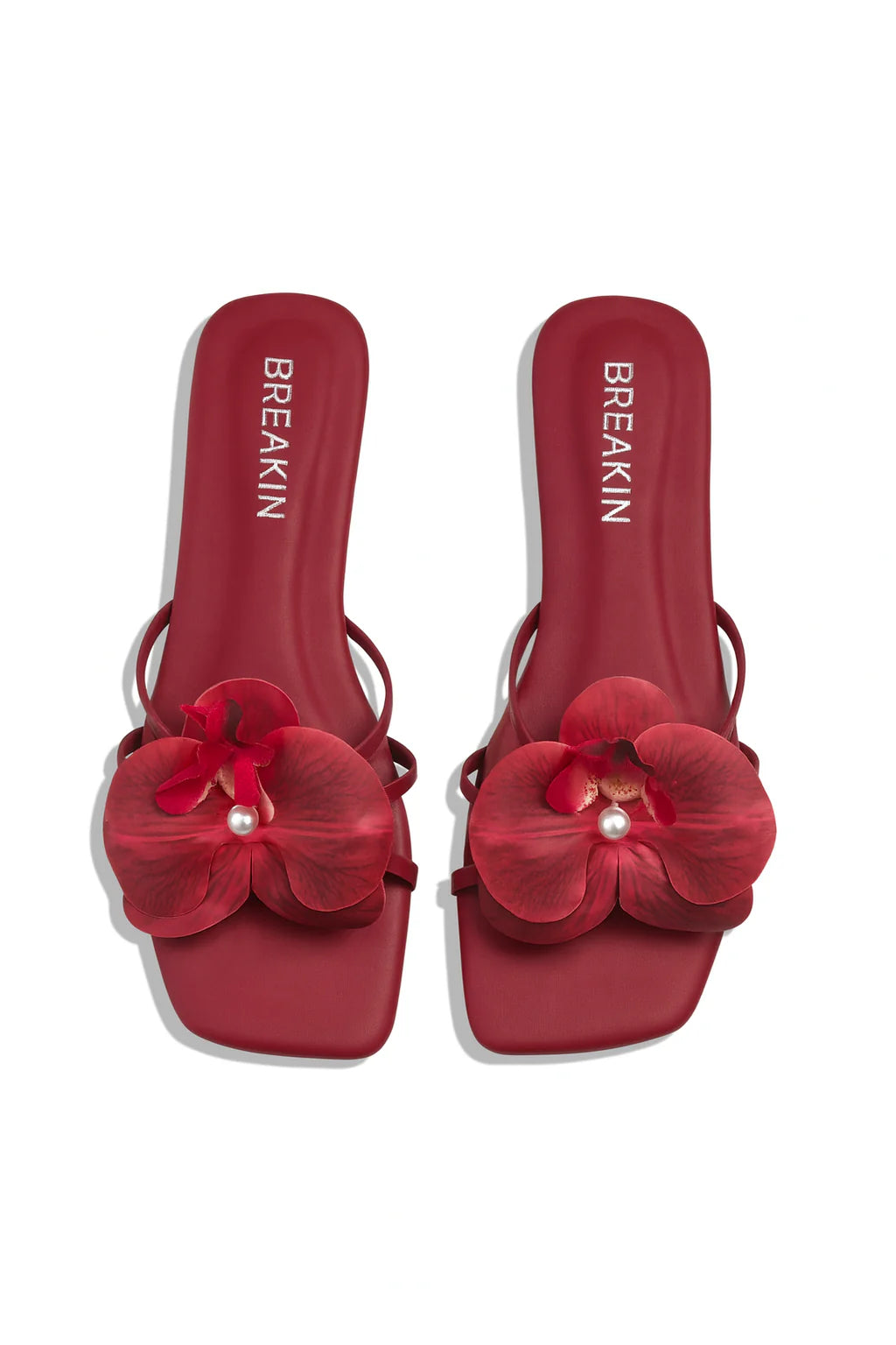 Pomelo Orchid Flower