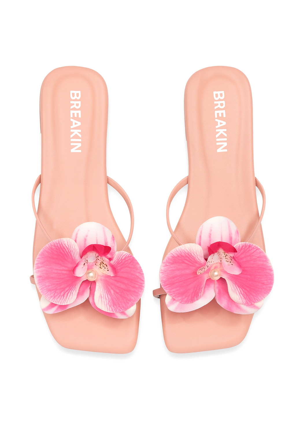 Pomelo Orchid Flower - Pink