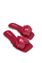 Pomelo Orchid Flower - Maroon