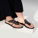 BUTTERFLY IN 4 COLOURS - Breakin.pk